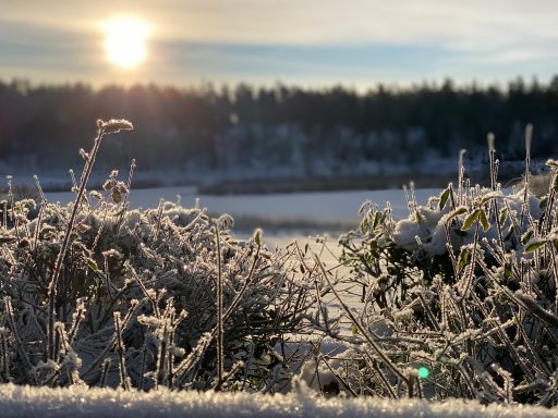 Solen Månadsbrev Januari