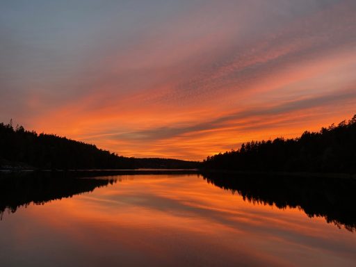 Solen månadsbrev februari 2025